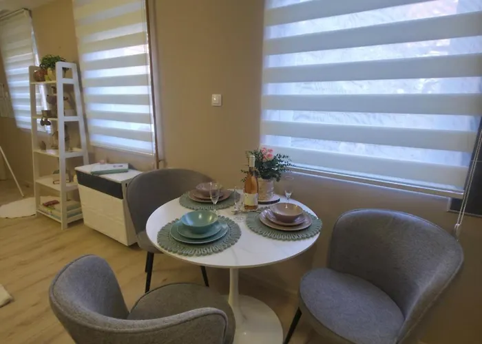 Novi Grad Διαμέρισμα *