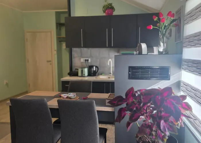 Διαμέρισμα Novi Grad Σουμπότικα